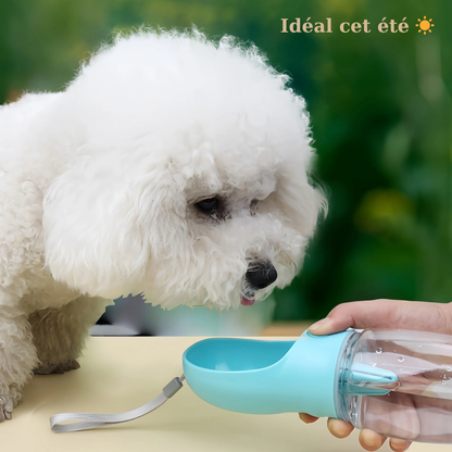 Carapaw Nomad — Gourde 2 en 1 pour Chien & Chat